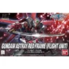 HG Astray Red Frame (Flight Unit) (58)
