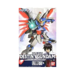HG Destiny Gundam (08)