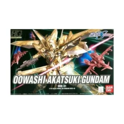 HG Oowashi Akatsuki Gundam (40)